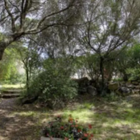 Les Bergeries D'ogliastrello *